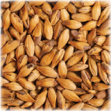 CHÂTEAU CARA ULTRA 150