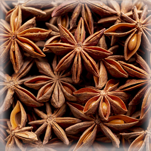 STAR ANISE (WHOLE) (八角) (5KG)