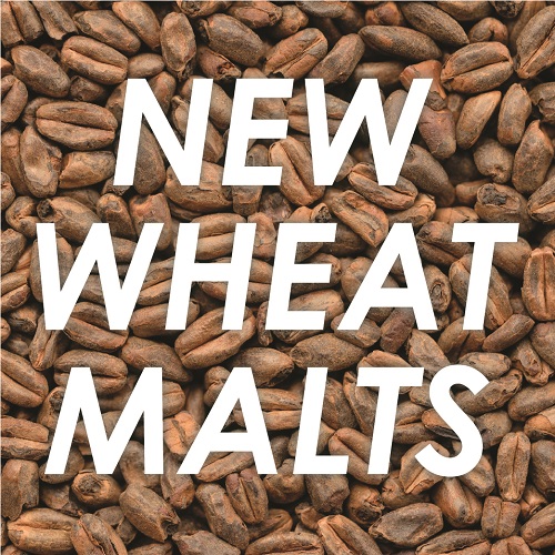 Castle Malting® announces the launch of NEW WHEAT malts!