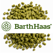 CITRA (USA) Pellets T90 (5KG)