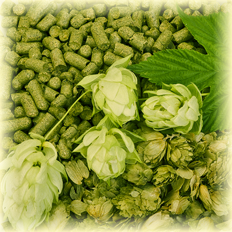 PREMIANT ORGANIC (CZ) Pellets T90 (5KG) 
