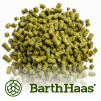 Hoptestcommon2.png